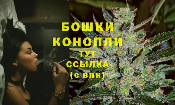 spice Абаза